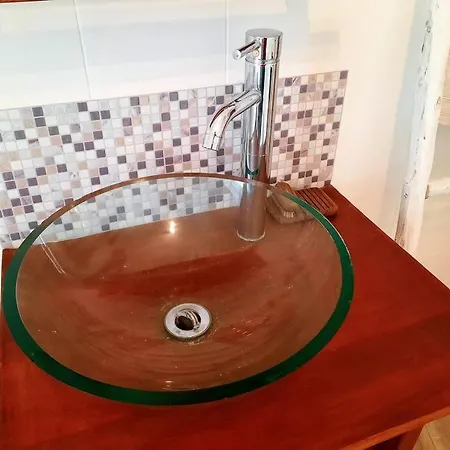 La Palme De Retz Pornic